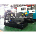 Weifang Ricardo generadores diesel 8-200kw con CE